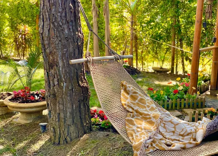 Beach Garden Paradise