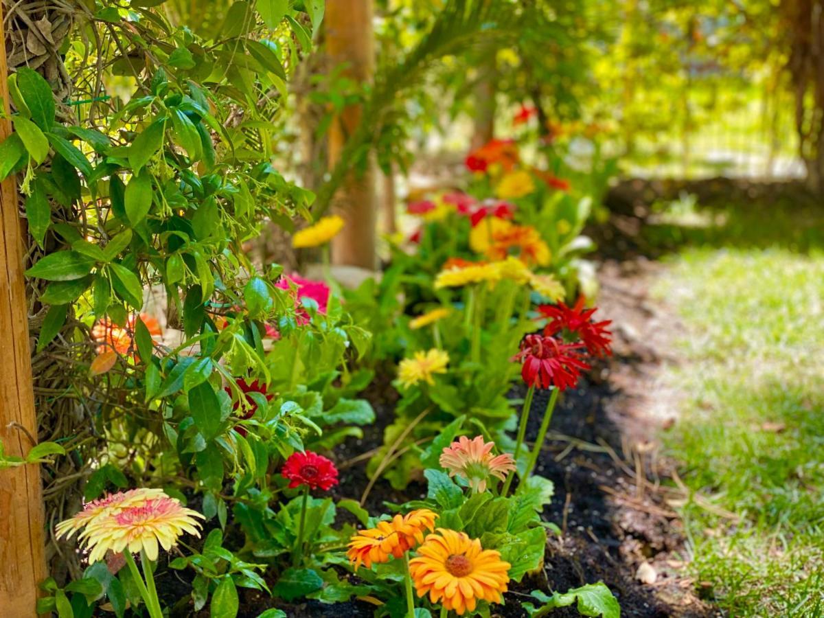 Garden Paradise