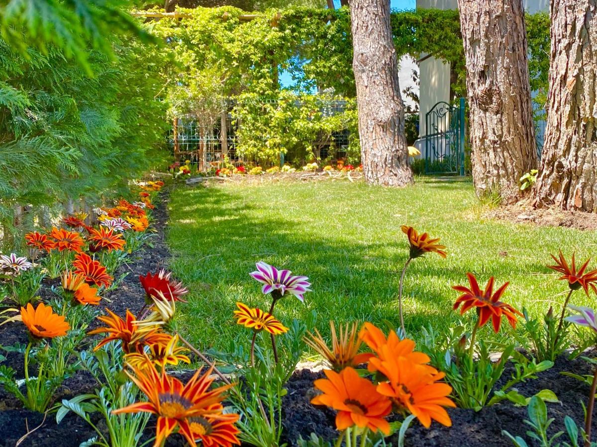 Garden Paradise