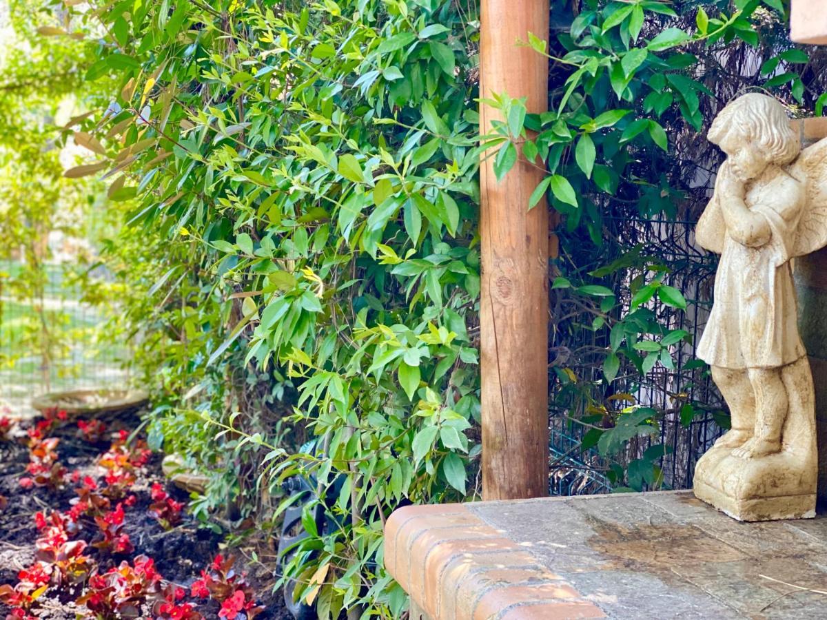 Garden Paradise Leilighet