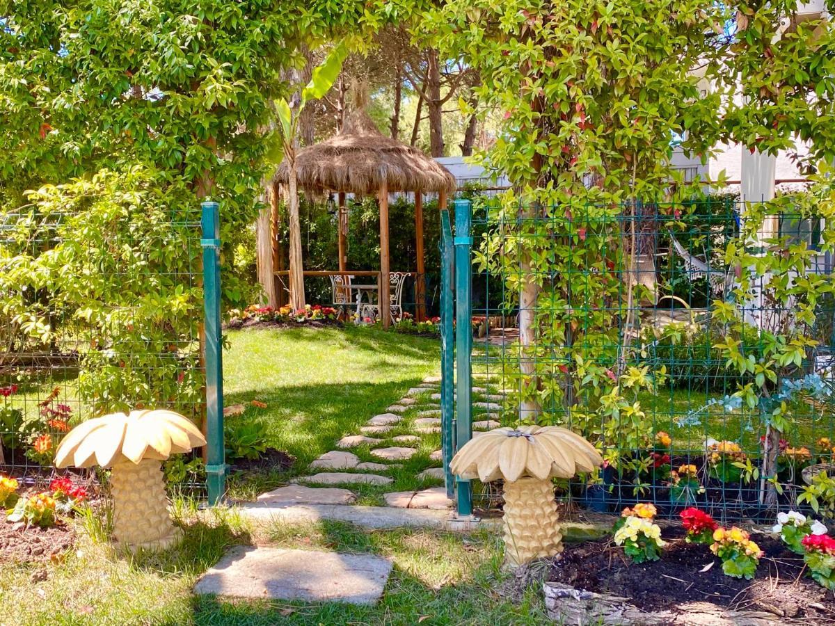 Garden Paradise